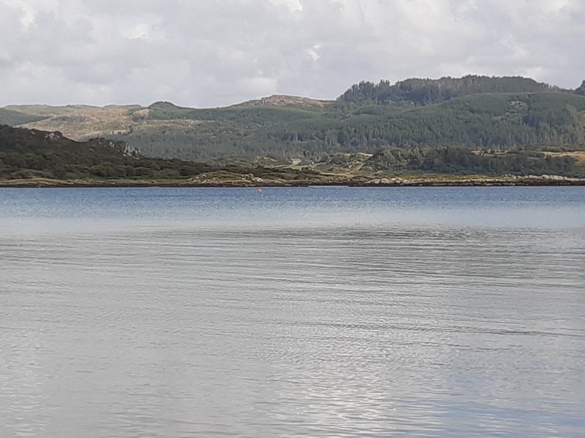 newcastlemarine's tweet image. Are you a marine ecologist with interest in #citizenscience approaches? Fantastic opportunity to work on @NERCscience #engagingenvironments programme Closing date 22nd June
Research Assistant/Associate in Marine Citizen Science jobs.ncl.ac.uk/job/Newcastle-…