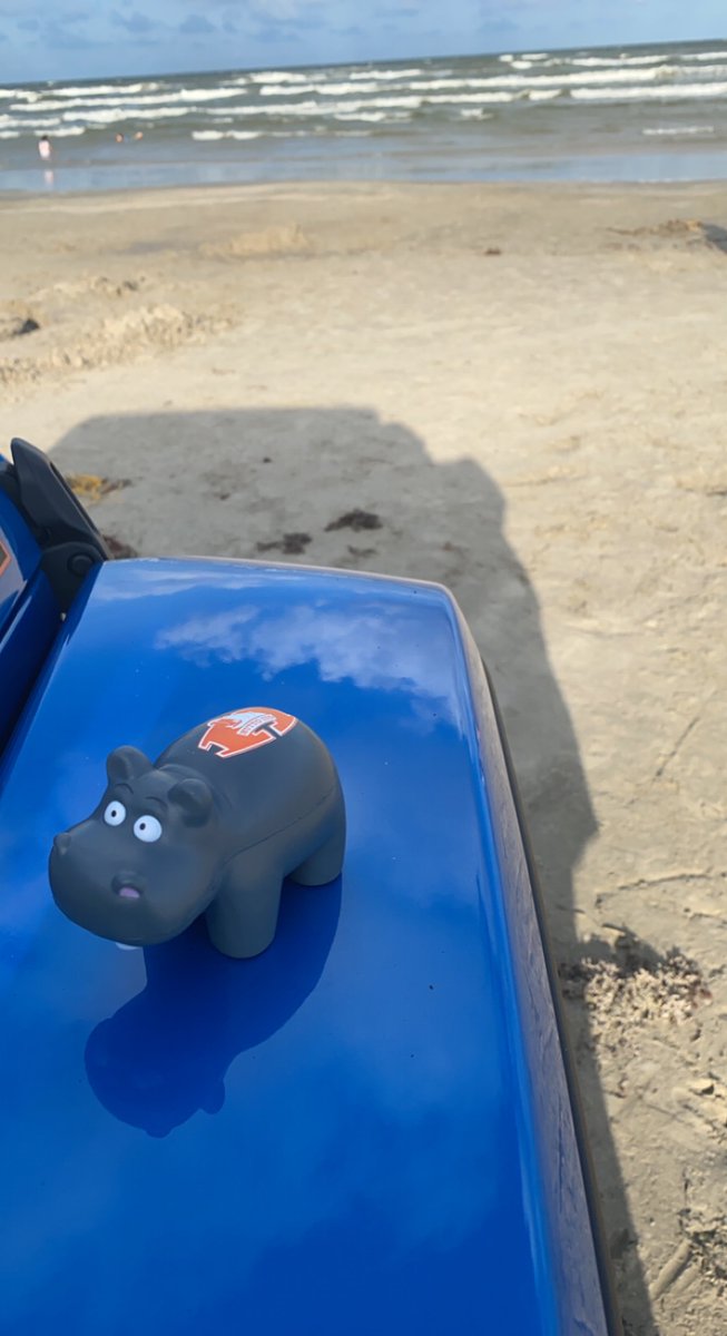 Hard to beat an adventure in the Jeep!
Hippos were made for this!
#HippoNation