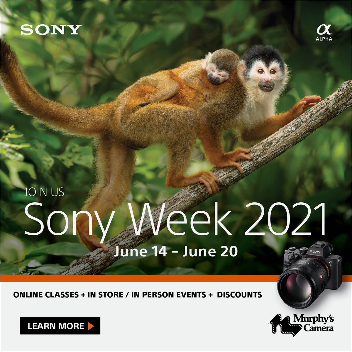Next week is Sony Week! 
In-store specials all week long. Trade-up bonuses on select Sony products. FREE webinar on Natural Light Portraits hosted by Sony Artisan Scott Robert Lim!

Check out the link below for complete details!
conta.cc/3w9yPXh