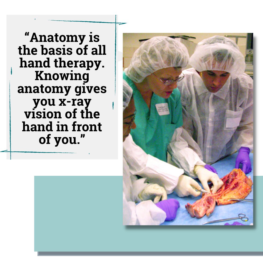 Leave it to the hand therapist to take the expression 'know something like the back of one's hand' to the next level! How has knowing anatomy helped you in your practice?

#handtherapy #htw2021 #CHT #handsurgeon #anatomy #handsurgery #occupationaltherapy #handtherapyweek
