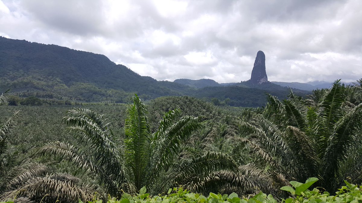 UNCTAD_TLB's tweet photo. Do you know where this stunning mountain is? In #SaoTome, which also happens to be one of the countries to have soon access to our newly launched #Portuguese #eLearning Platform for National Trade Facilitation Committees https://t.co/pYd5PmIckN 💻👨‍🎓👩‍🎓 https://t.co/MQkjL2wNdP
