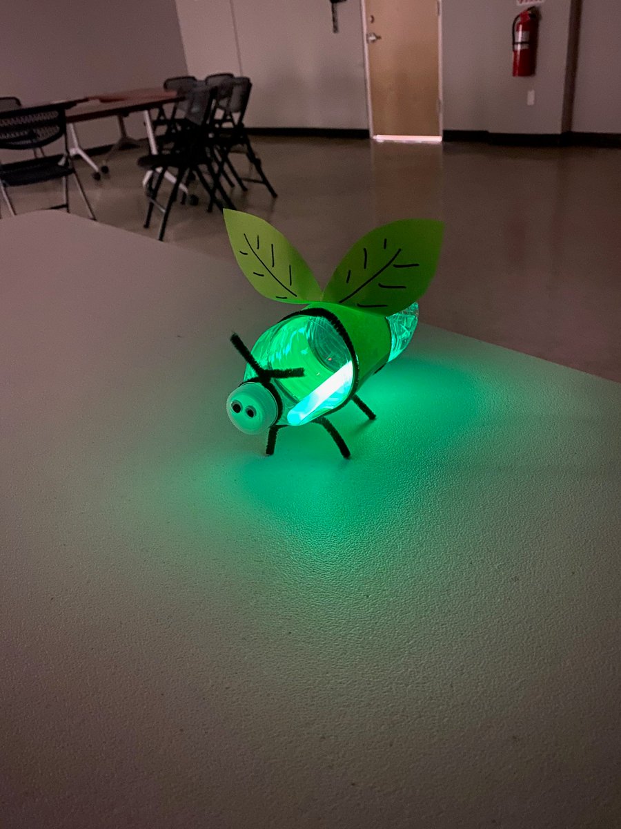 eastrocklibrary's tweet photo. Here’s the firefly craft for Krafty Kids, for grades - K-3. Come pick up the craft kit and the book and Miss Donna will email you a link to the program! Call or stop by to register and pick up your stuff! #bugs #bugcraft #kidmakers #makesomething #firefly #glowsticks https://t.co/fUOjYu7sgs