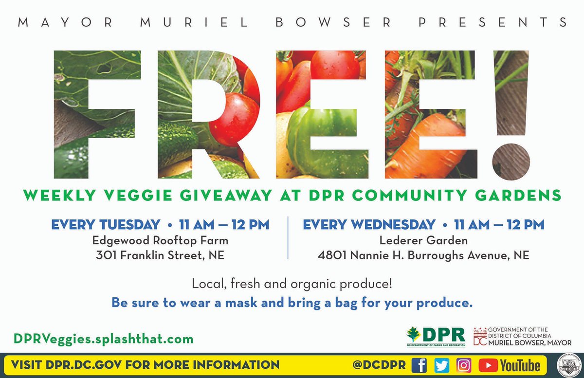 DCDPR's tweet photo. FREE WEEKLY VEGGIE GIVEAWAY today!
Every WEDNESDAY 11am-12pm @ Lederer Garden (Ward 7)
We provide local, fresh, and organic produce to you! Bring a bag for your produce.
Link: https://t.co/YgXBm59CBp
#MorethanRec #beGreenDC #foodequity https://t.co/hpeiqOfKOq