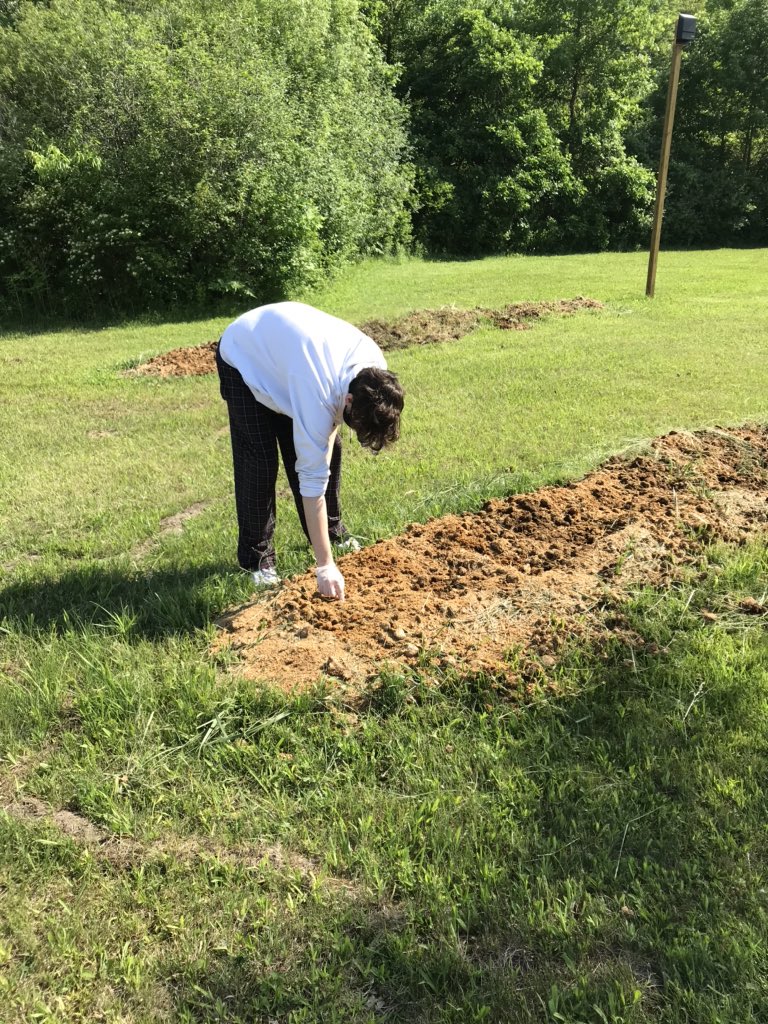 VLAofSCC's tweet photo. Ms. Bonnie’s Pumpkin Crew, getting to plant some seeds in the VLA Pumpkin Patch. https://t.co/tWnl0LTasY