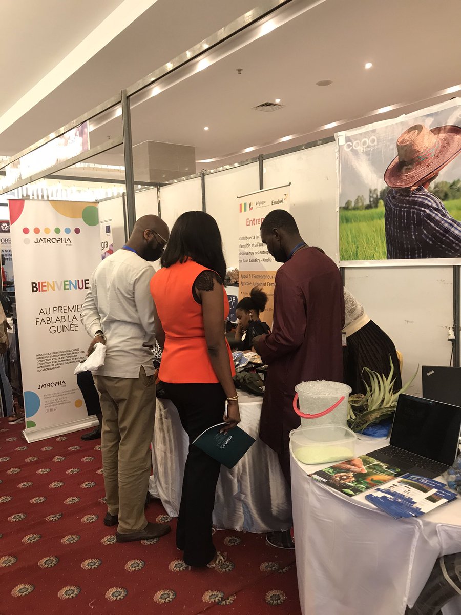 Jatropha Hub Officiel tweet media