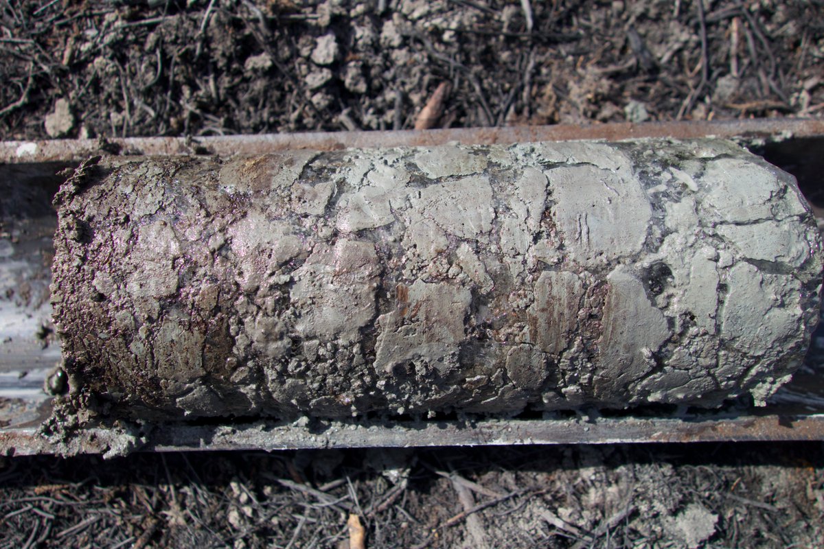 Dr. Merritt Turetsky tweet media