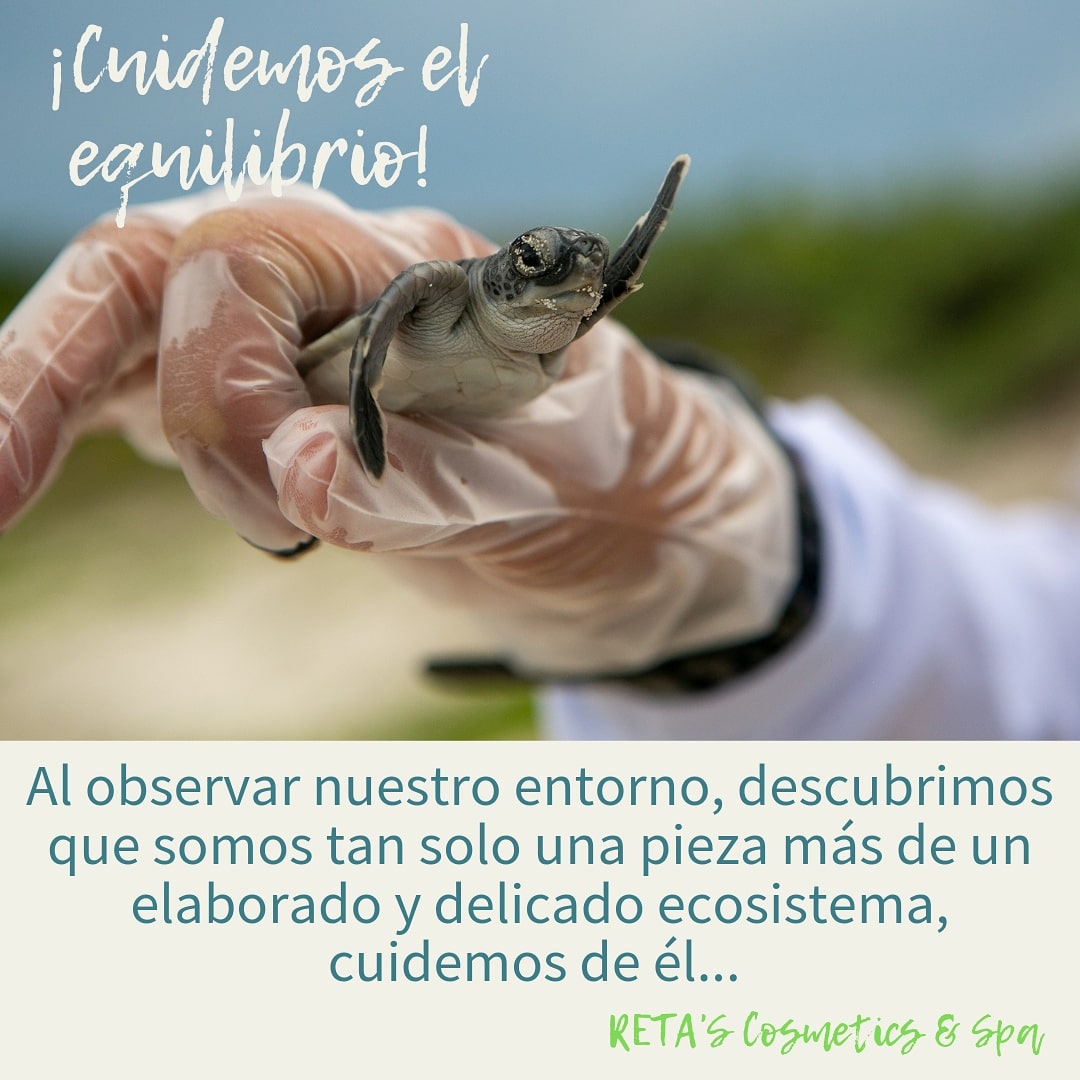 ruizet's tweet photo. ¡Que tengas un increíble día! 😃
#pensamientosretas
#buenasvibras
#buenosdiasatodos
#skincare https://t.co/iwOmwjvfBF