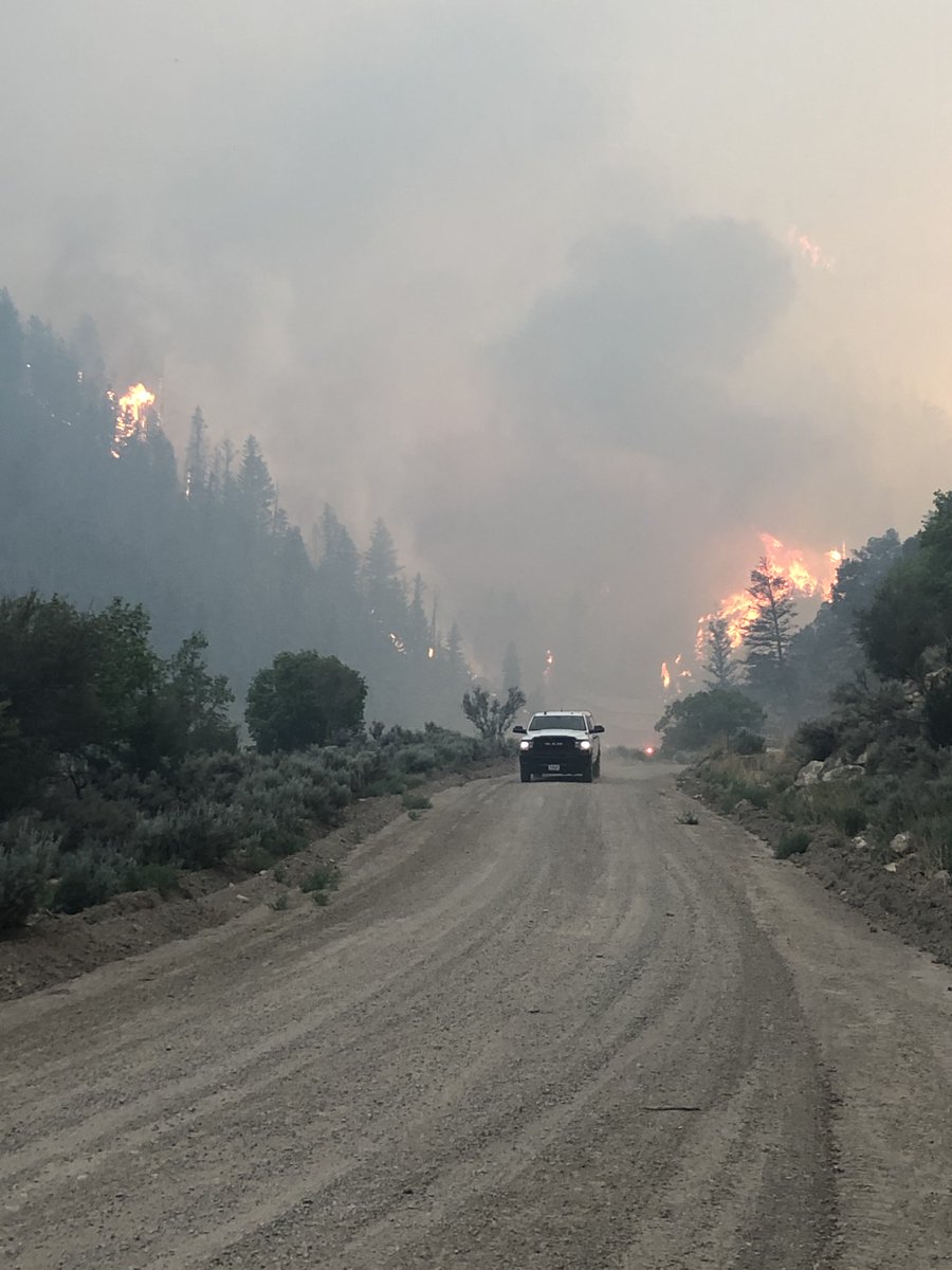 UtahWildfire's tweet image. BEAR FIRE UPDATE: 1,971 acres; 0% contained. Burning about 4 mi NW of Helper in rugged terrain, requiring air tanker/helicopters. US-6 open, may be impacted. Follow @UDOTTRAFFIC 
for updated road conditions. #blmgl #fireyear2021 @NIFC_Fire

Photo credit: Jason Porter, BLM