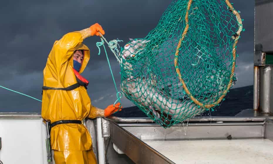 SupplyChainNet2's tweet image. Blockchain tech could turn the tide for sustainable fishing...

buff.ly/3z7uZ33

#digitaltags #seafoodfraud #supplychainmanagement #fmcg #imports #exports