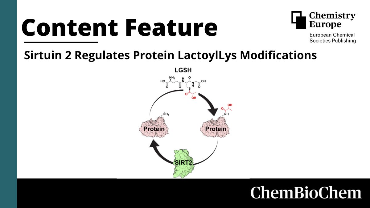 Wiley_Chemistry's tweet photo. Check out this communication from @ChemBioChem titled "Sirtuin 2 Regulates Protein LactoylLys Modifications."

🔗: https://t.co/6m1ZpR6KME 

(Galligan) @ErinQJennings, @galliganlab
(@ChemEurope) https://t.co/cTjcTnDYTE