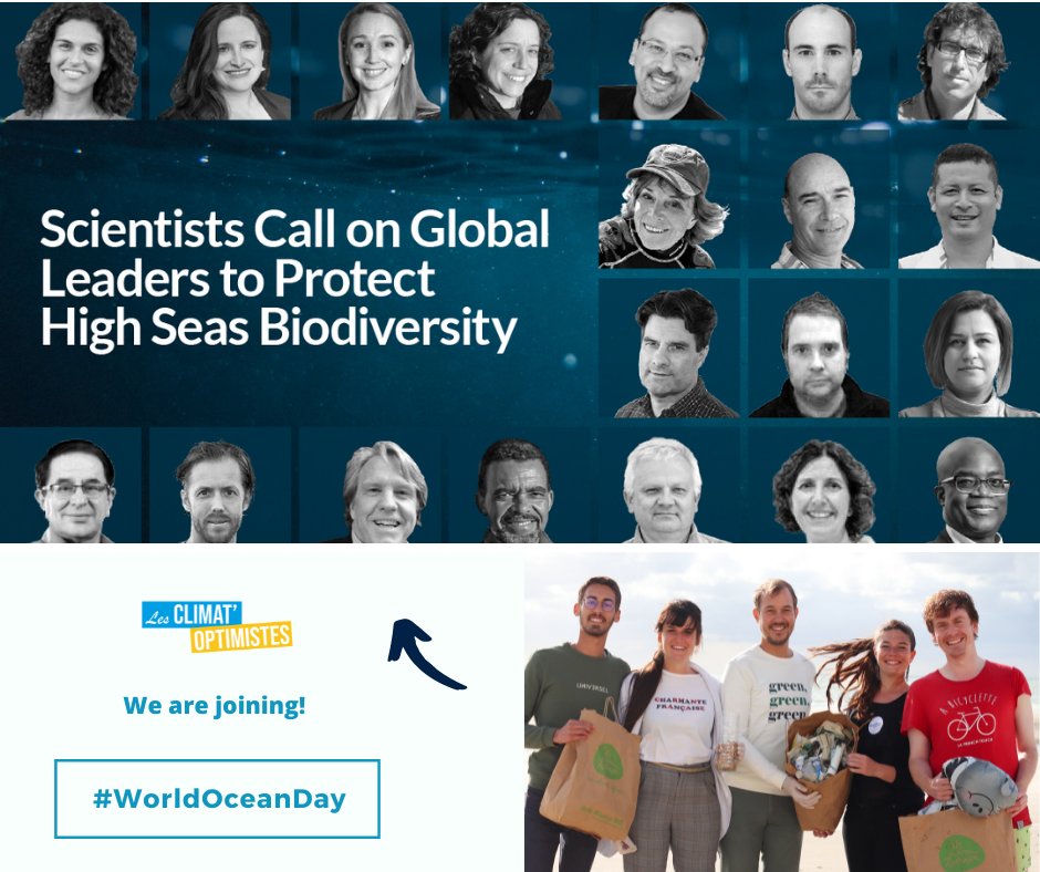 🙋 On rejoint l'Appel des Scientifiques pr la protection de la biodiversité en haute mer! 
🐳 Car 1% seulement est protégée, ce qui ouvre la voie à ts les abus contre la biodiversité
📝 Découvrez l'Appel ici: bit.ly/3w9Pt9s 🌿🌏☀️ #WorldOceanDay #OneOcean #YouthForOcean