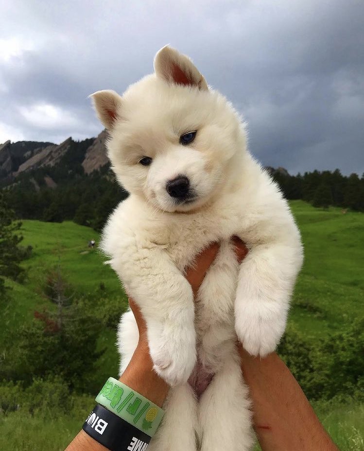 art (@artsunsettt) on Twitter photo 