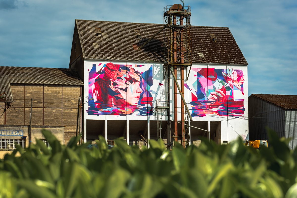 LaBelValette's tweet photo. L'AURORE🌷

Résidence terminée pour RATURONE à Châtillon-Coligny dans le cadre du LaBel Valette Fest et du HLM2 ! Une réalisation poétique et colorée que nous vous invitons grandement à venir admirer ! 🙂 

📸 : Fab Collage

#lbv4 #muralism #urbanart #streetart #fresque #painting https://t.co/JT6Q5mSuZL