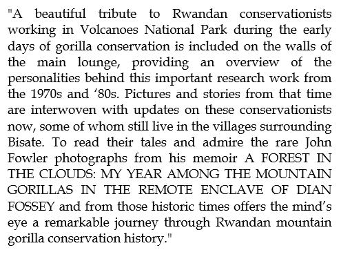 JohnDFowler's tweet photo. Very proud to be a part of this amazing project from @WeAreWilderness :  
https://t.co/zpt3ZEF98H

https://t.co/qmmFmEhQTg https://t.co/uu00P9Tkol