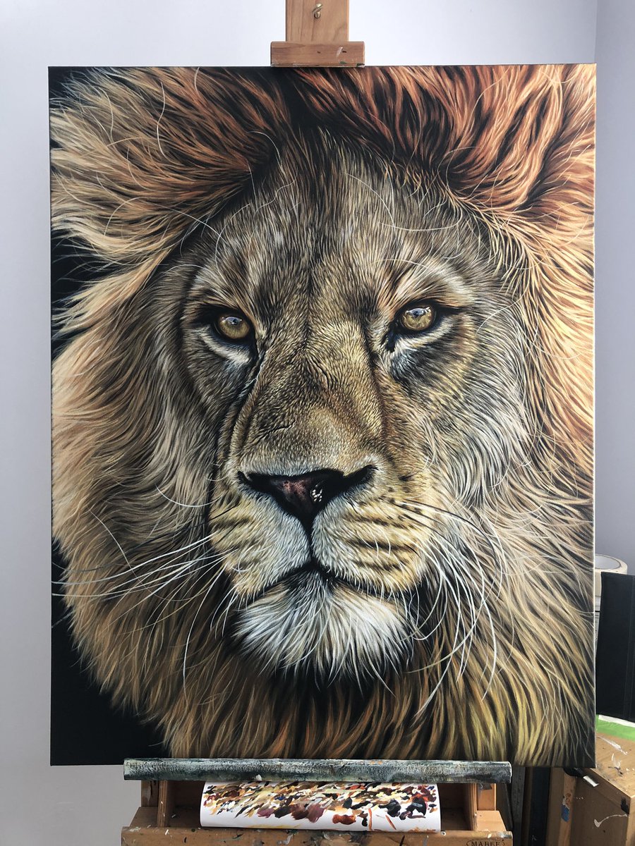 W.I.P. Regal. My lion is just about done. I’ll come back to him in a few days and see if I’m still happy with it. #wildlifeart #art #wildlife #ukart #Creative #painting #acrylic #lion #lionpainting #conservation