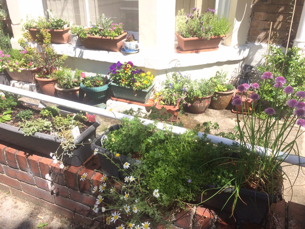 We are really looking forward to welcoming members, volunteers and staff back to our Mental Health Resource Centre.  Our little garden has been spruced up in readiness and adds a splash of colour on Alma Square.