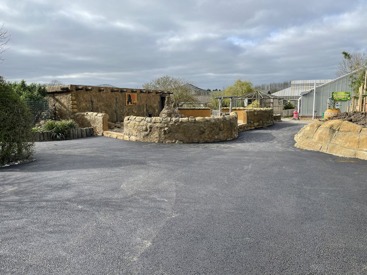 Hall Macadam Ltd tweet media
