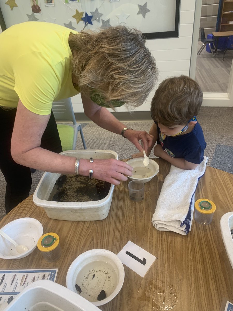 FouhyLiz's tweet photo. Aquatic insect exploration at LCP! We are scientists!!! #joyinlearning https://t.co/y6QUxBt6nK