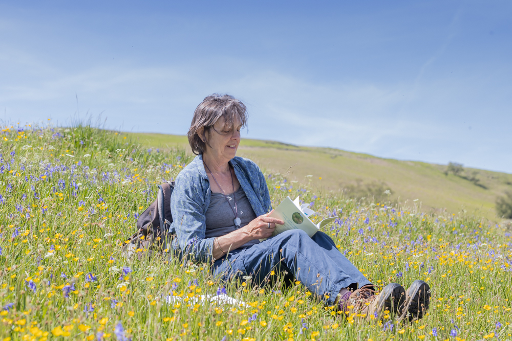 A lovely group of people spent the day in the meadow doing some grasses training yesterday. Many walked bare-foot as should be done on a beautiful day in the Welsh hills! Nice to learn about the variety of grasses. <a href="/TheElanValley/">The Elan Valley</a> <a href="/ElanLinks/">Elan Links</a> <a href="/NFFNUK/">Nature Friendly Farming Network</a> <a href="/WildaboutPlants/">Plantlife</a>