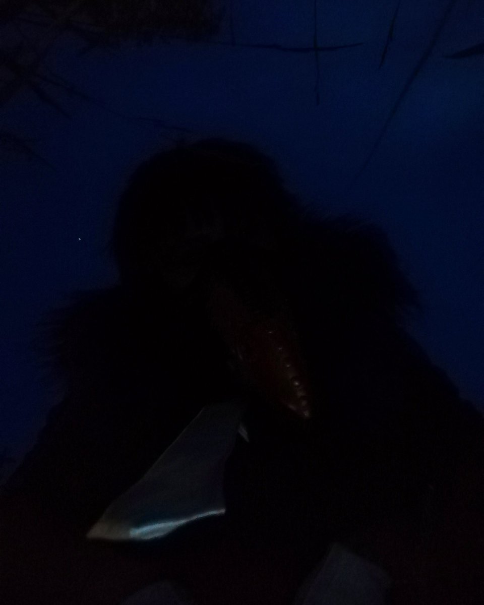 x_enar_redar's tweet image. Last night photo shoot ended in a couple of good pictures. 

#Overhaul #overhaulbnha #overhaulmha #overhaulcosplay #kaichisaki #kaichisakicosplay #kaichisakimha #kaichisakibnha #chisakikai #chisakikaicosplay #chisakicosplay #chisakioverhaul #chisakimha #chisakibnha #MHA #BNHA