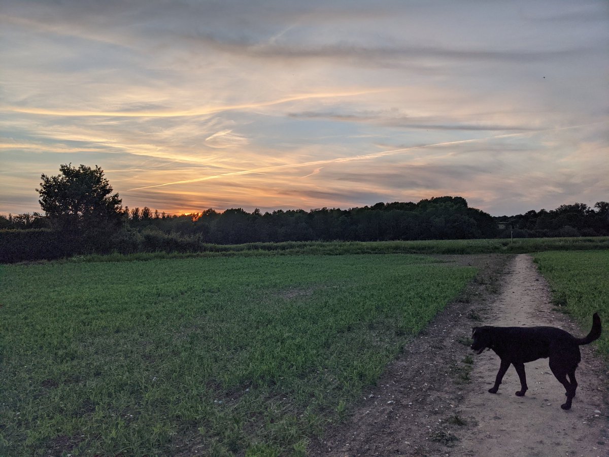 emilyjane237's tweet photo. It's true when they say sunsets are an opportunity to reset! I'll forever be grateful for being able to witness beautiful scenes like these! https://t.co/pR5cSDGTpW