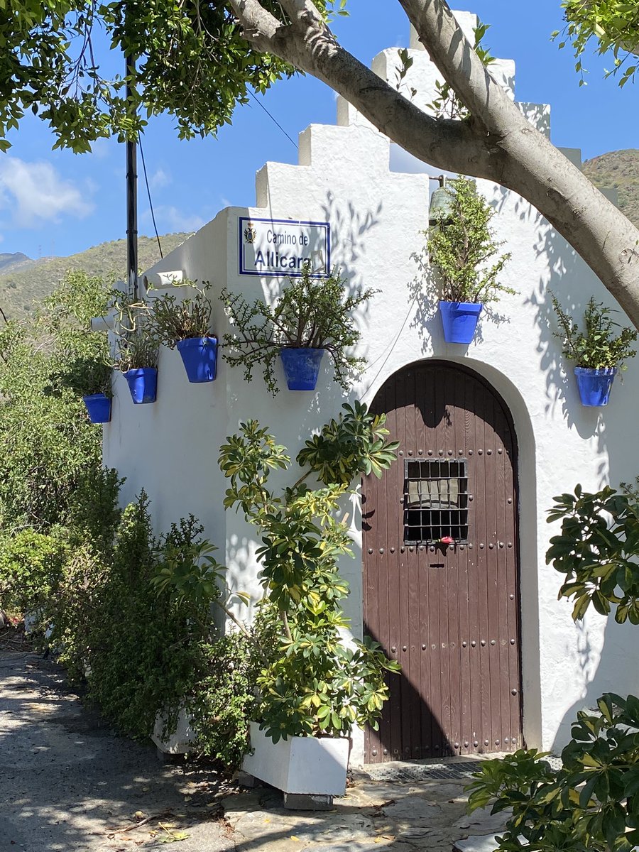 matorphanides's tweet photo. Exploring #Andalucia #Almeria 🇪🇸 and the natural park of #cabodegata , wonderful traditional villages like #Sopalmo, clear swimming water 🌊 in #caladelplomo and tasting delicious #paella 🥘 💫 #SummerVibes #holidays https://t.co/TfIZqIND9Z