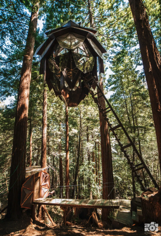 financeimpulse's tweet photo. Would you stay in this pinecone treehouse?

• 35' above ground on the uphill side, 60' on the downhill side
• Almost entirely made of windows
• Open-air bathroom with a composting toilet on ground level
• Access via steep step ladder 
• Cost: $450/night https://t.co/kZGu7EpESc