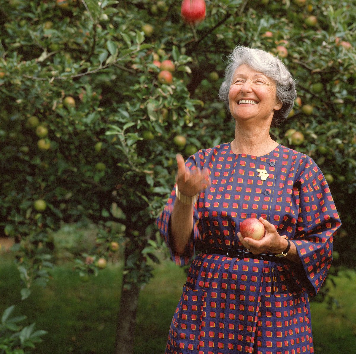 The Cultural Landscape Foundation (@tclfdotorg) on Twitter photo Cornelia Oberlander, a Farseeing Landscape Architect, Dies at 99 <a href="/nytimes/">The New York Times</a> nyti.ms/3xapOxr An eloquent and beautifully written tribute to one of the titans in the field of landscape architecture Cornelia Oberlander, a Farseeing Landscape Architect, Dies at 99 <a href="/nytimes/">The New York Times</a> nyti.ms/3xapOxr An eloquent and beautifully written tribute to one of the titans in the field of landscape architecture