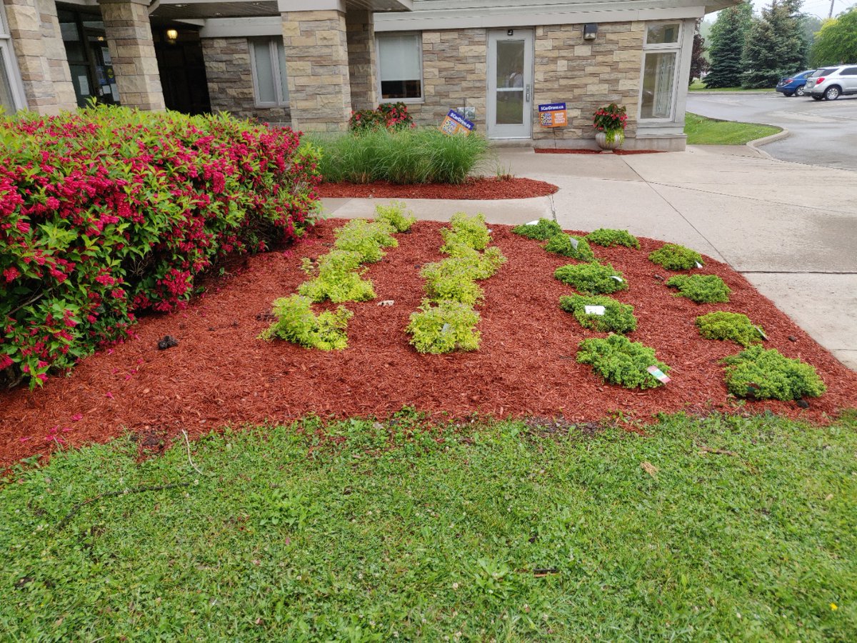 Hospice Niagara tweet media