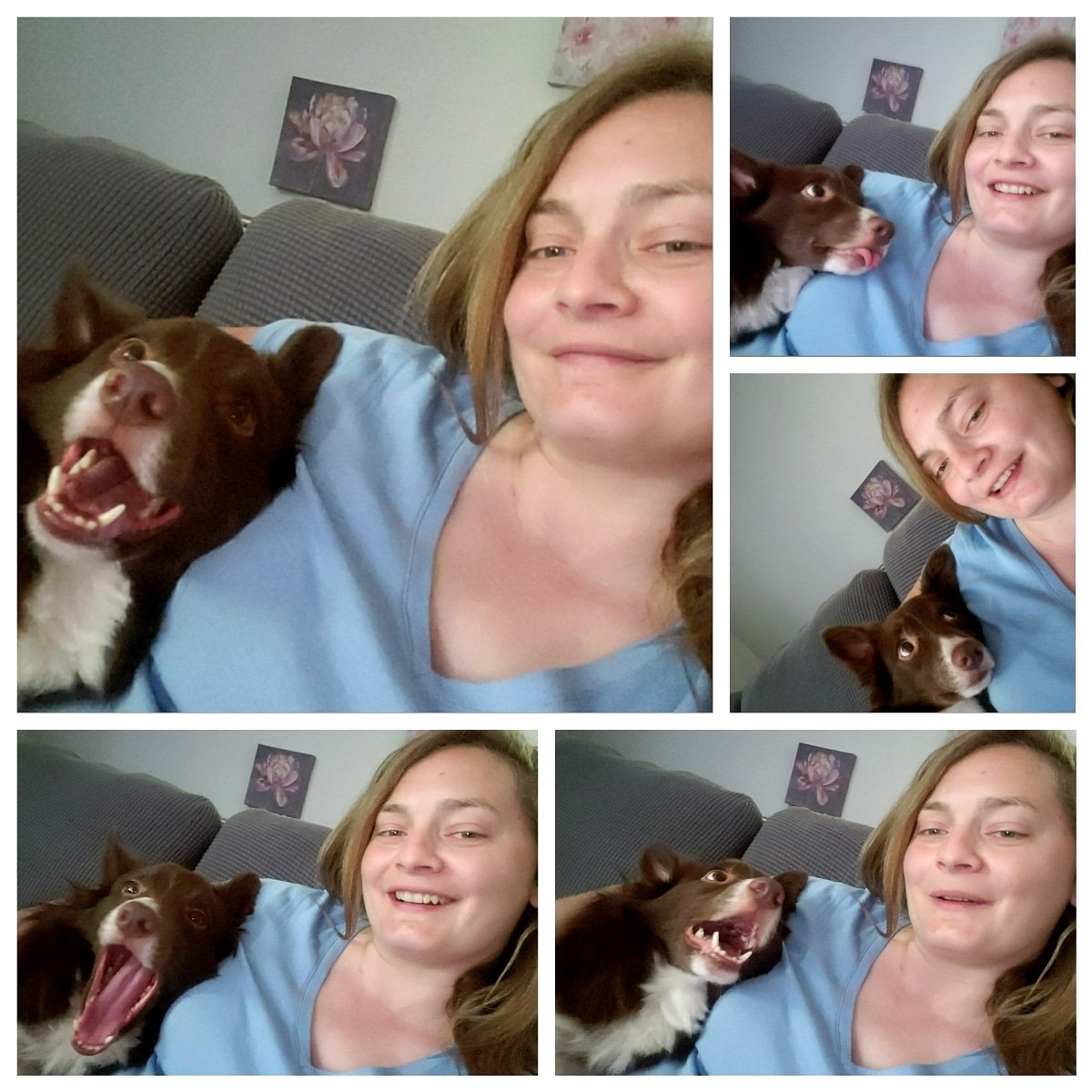 AgilitywAmanda's tweet photo. The many faces of my Winnie boy ππβ€
#dogfaces #doglooks #wednesdaymood #sillydog #funnydog #lovingdog #dogsmile #dogtongue #dogpersonality #dog #doggy #bordercollie #cutebordercollie #reddog https://t.co/jrOG1bTqA6
