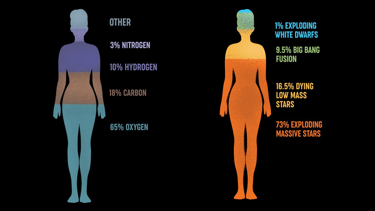 шести уровнях организации человеческого организма. человека тело анатомия акварель. Body was made. Human body 70% water. фитнес фото.