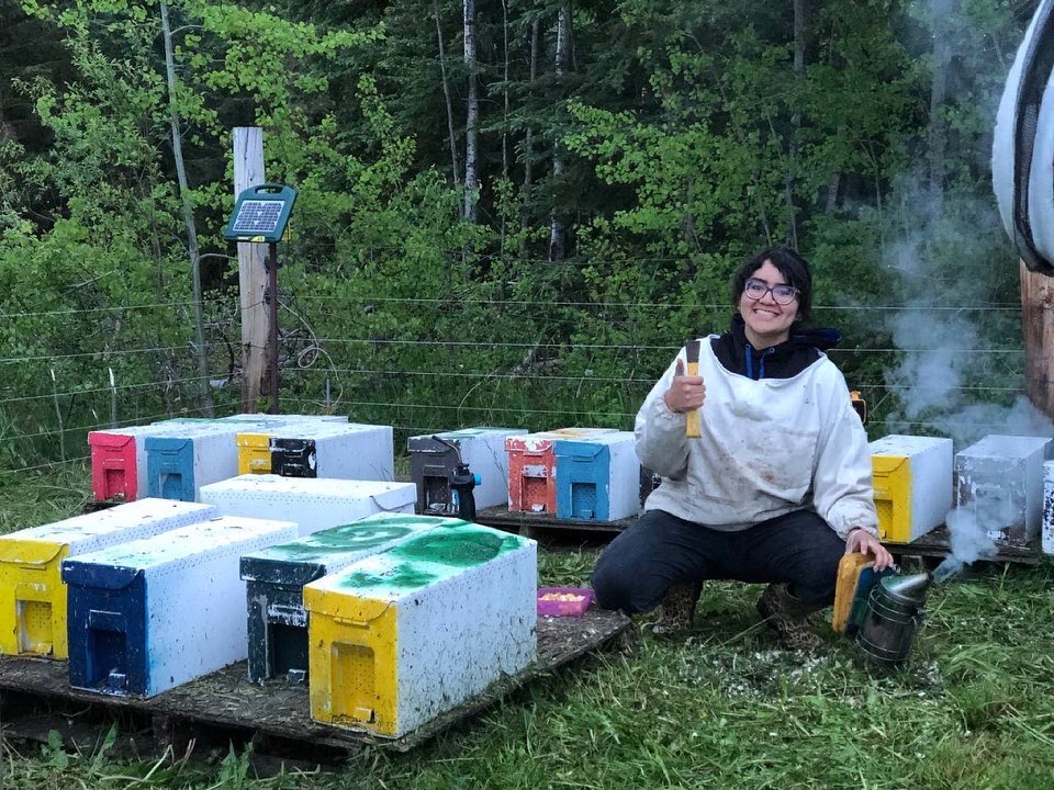 bees_r_funny's tweet photo. After a successful hive splitting and queen rearing... I am so happy with the results! 😍More beekeeping adventures will come from these new baby hives! 🥰🥰🐝🐝 
#beekeeping #beekeepingadventures #beekeeper4life #youngbeekeeper #beekeepersofinstagram #savethebees https://t.co/DTt0paRbKe