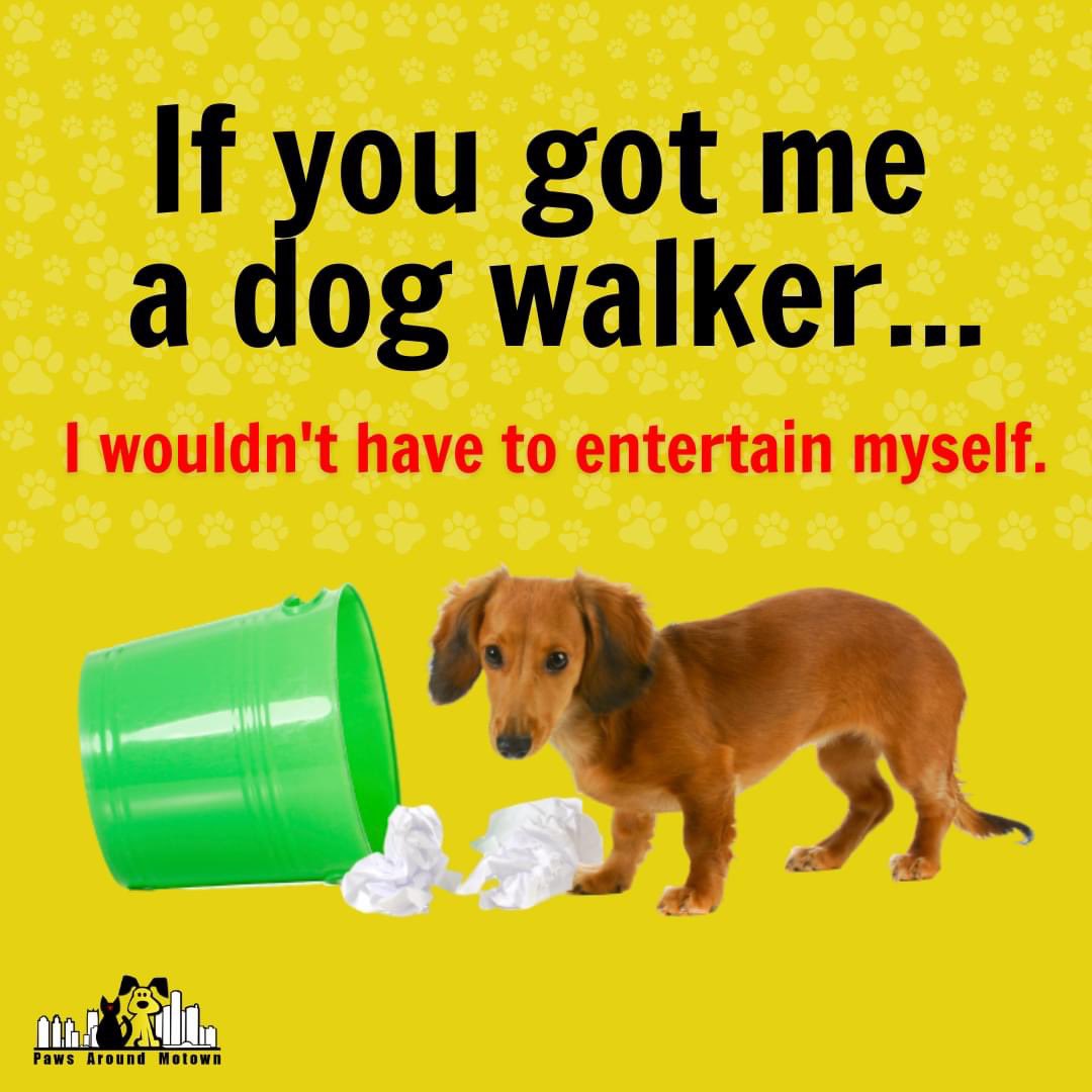 Does your dog adapt well to others? Would he/she welcome a dog walking companion easily?
.
.
.
#petsitting #petsitter #dogwalking #dogwalker #dogs #dogsitting #pets #dogsitter #walkingcompanions🐶  #petcare #doglovers #puppy #dogcompanion #dogwalk #petservices #fyp