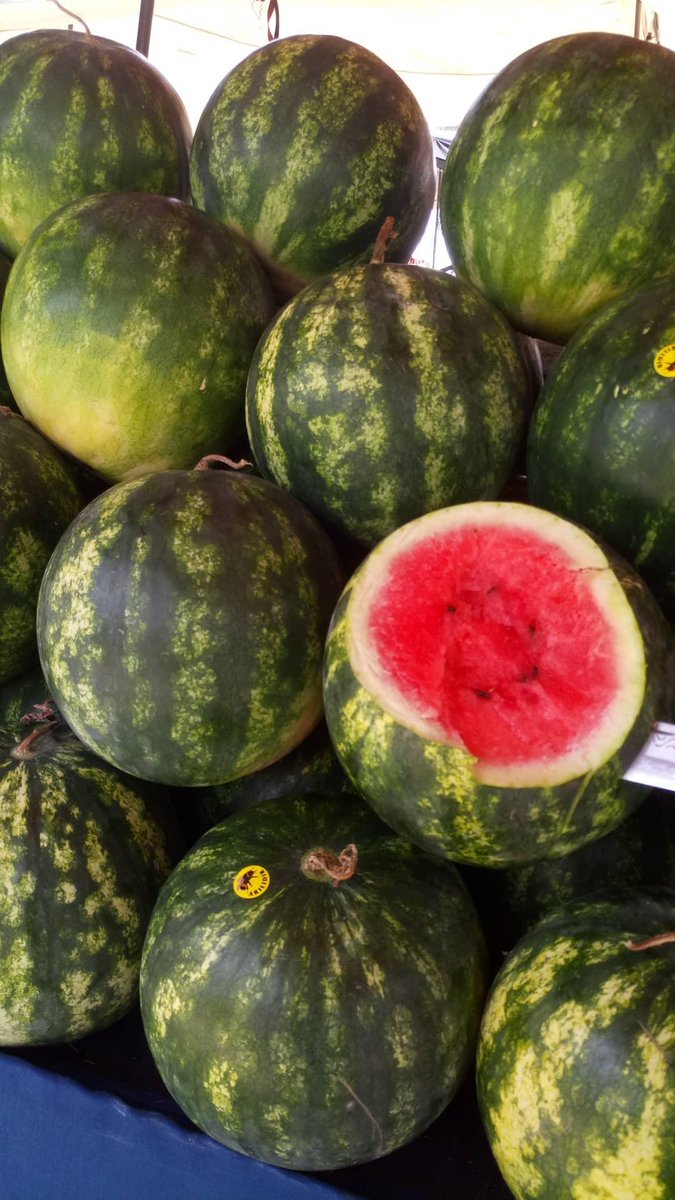 nonsiferma's tweet photo. Adana'da pazar yeri
Dokun 🔍
#turkishbazaar #fruits #watermelon #organic #bazaar
#photography #streetphotography
#fotografia #photooftheday
#写真
#写真好きな人と繫がりたい
#ファインダー越しの私の世界
#フォローした人全員フォローする
#写真好きな人と繫がりたい
#写真で伝える私の世界 https://t.co/pCZkL1aNEC