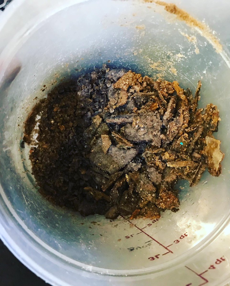 EspressoMePDX's tweet photo. A little bit of scale came out of this Marzocco boiler. And this was only one of the few buckets of scale we got out of the boiler. Swipe to see some bad scale build up!
•
•
•
#espresso #coffee #coffeetime #coffeelover #cafe #latte #barista #coffeeshop #coffeeaddict #latteart https://t.co/pYJUPuiEIN