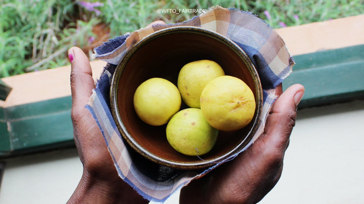 WFTO_FairTrade's tweet photo. Let nature keep your food fresh, using handmade beeswax wraps.

@forest_last uses leftover beeswax from wild honey harvest and melts it onto fabric to make this beautiful product. 

#FairTradeProducts #plasticfreeliving #FairTrade #SocEnt #BuildBackFairer #FairTradeLocal https://t.co/VxdUGF0LD2