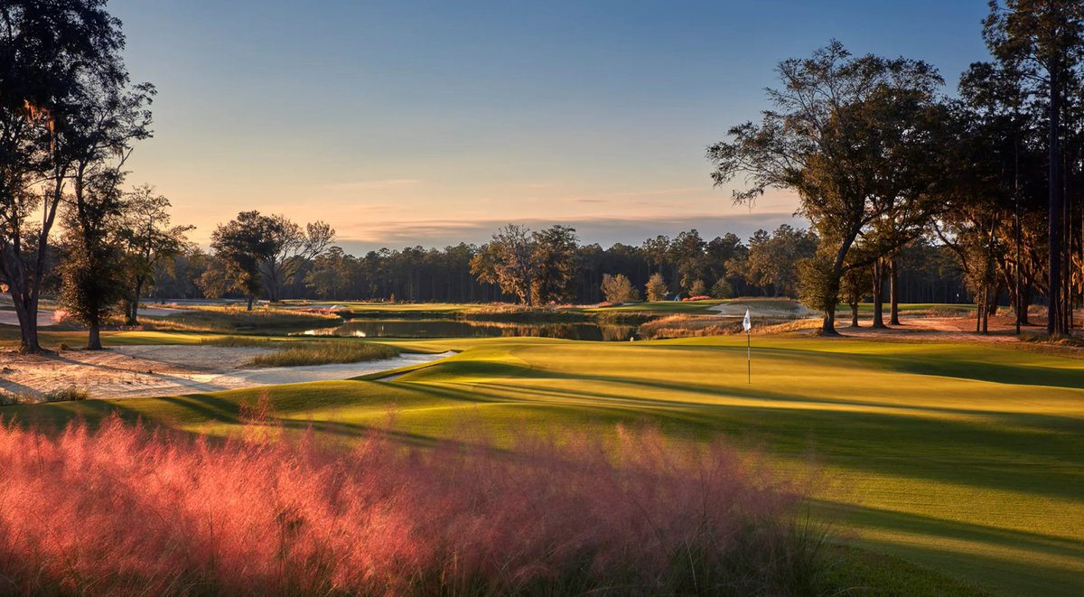 Golfbet tweet media