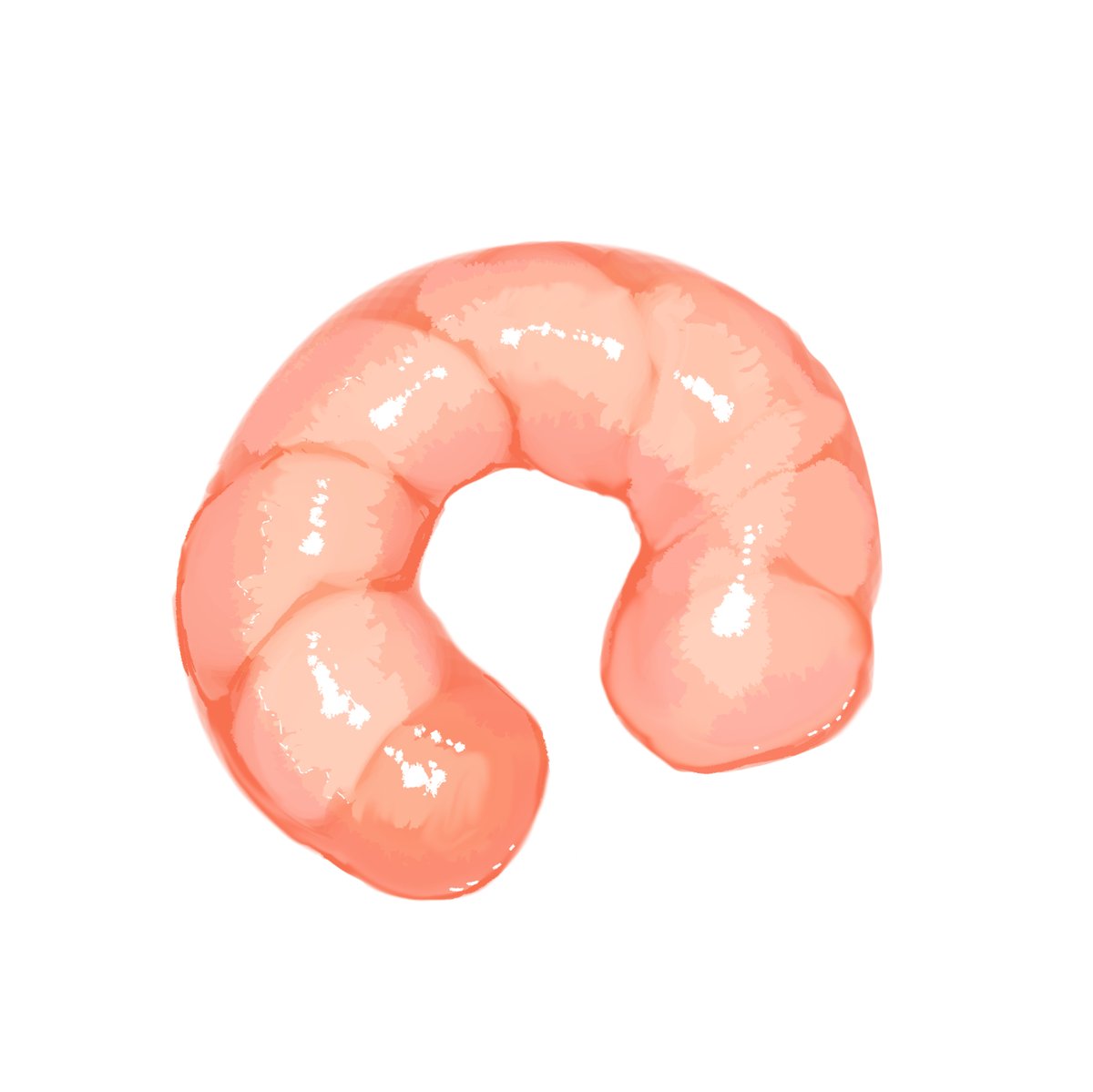 お酒で眠りが浅くなり 深夜に覚醒して描いた むきエビ です 左 新アイコン 静馬 蒼 お仕事募集中 のイラスト