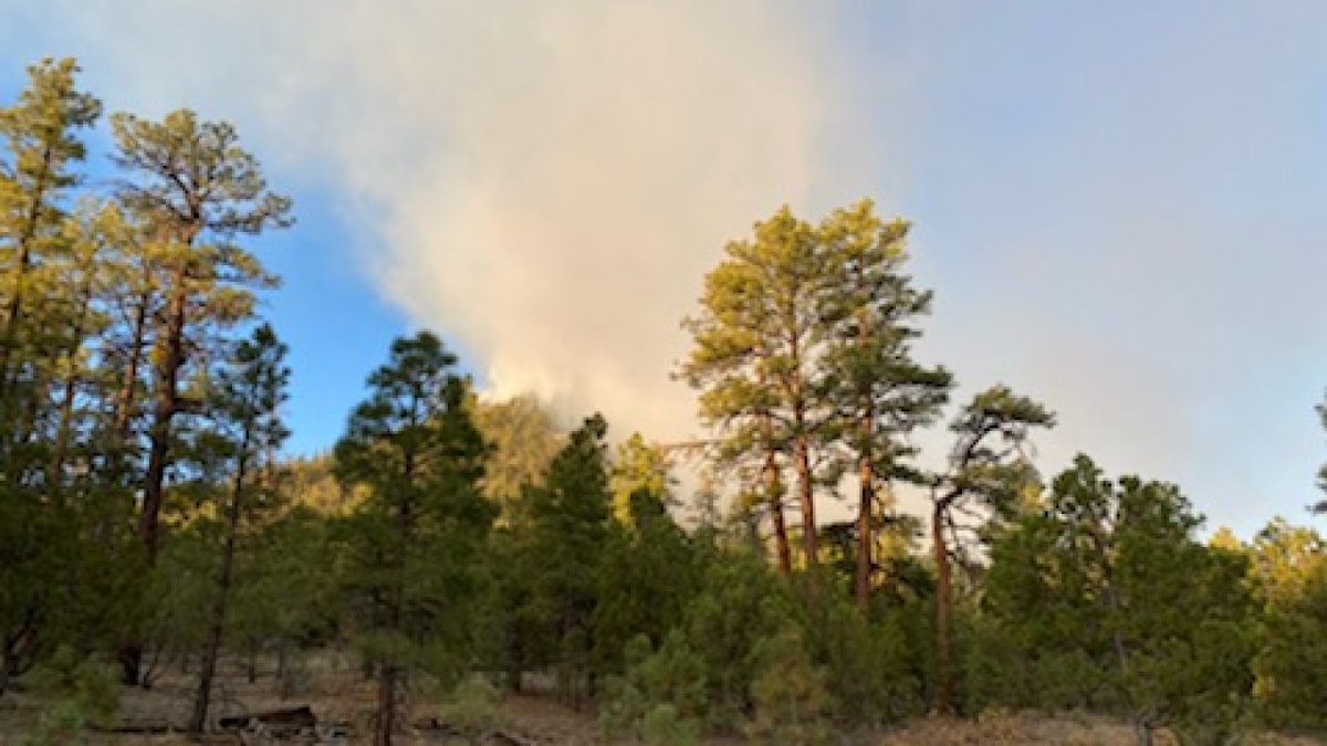 abc15's tweet image. #SlateFire, burning north of Flagstaff, grows to 2,000 acres; no structures threatened bit.ly/3uUNoMZ #abc15