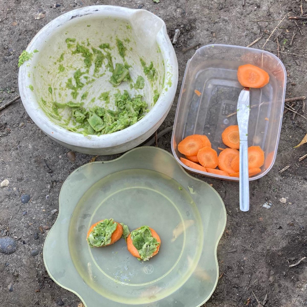 foodgrower's tweet photo. So this week in #forestschool #nursery @ColfesSchool picked the #broadbeans they grew from #seed. We the made a delicious spread which we had on carrot slices. #schoolgardening #outdoorcooking #forktofork https://t.co/aLPU44Ifil