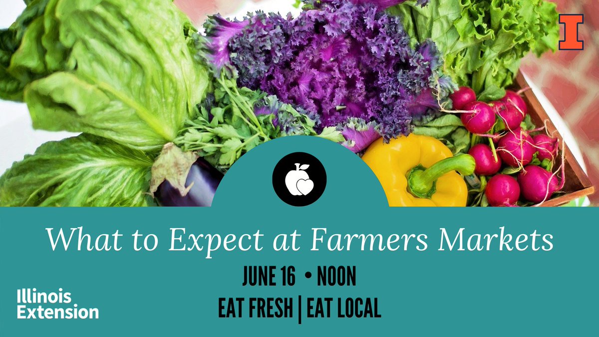 ILextension's tweet photo. Learn why it’s better for you and your local economy to shop at the Farmers Market first! Get to know the farmer who grows the food. Learn the ins and outs of shopping at the market: when to go, what to buy, what to bring.

https://t.co/BmLaWHHM7I https://t.co/gI9IEsuq1N