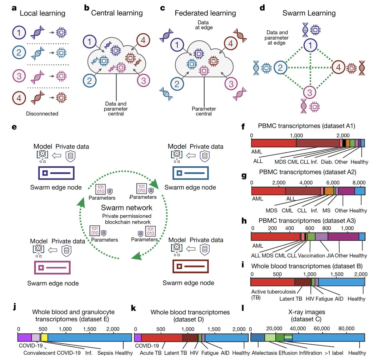EricTopol's tweet photo. Swarm #AI learning, beyond federating learning, could make a big difference in #healthcare.  Nice demonstration of how it can be used for #COVID19 detection
https://t.co/RYkBrucnJB
@nature by @LabSchultze @DZNE_de @SHerresthal and collaborators https://t.co/0P8M8299wP