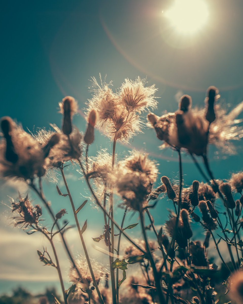 How to Take Professional Photos with Your iPhone
Learn tips and tricks like composing your scene to create depth, optimizing your settings, telling a story in your photos, utilizing light sources &amp; how to professionally edit photos on your iPhone. July 12
ow.ly/QjYv50EQpr2