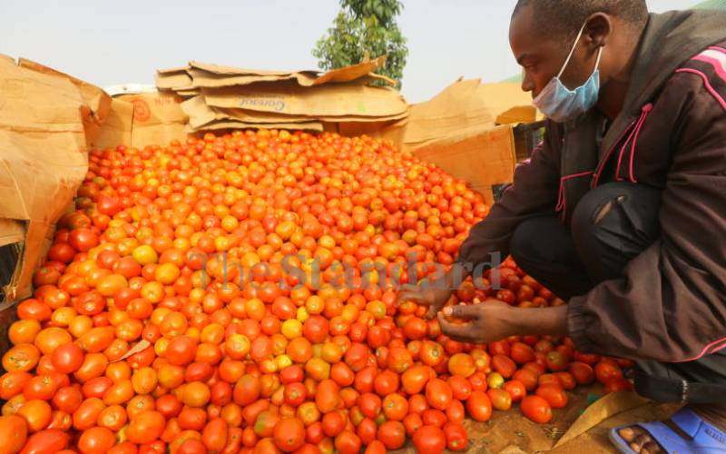 FarmKenya254's tweet photo. Study: Kenya loses food worth Sh72 billion in post-harvest loss
https://t.co/CEoYXrbICB https://t.co/Kx1ao31r8j