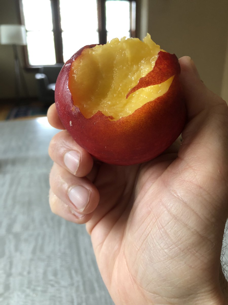 Just had a fabulous nectarine. #stonefruitseason