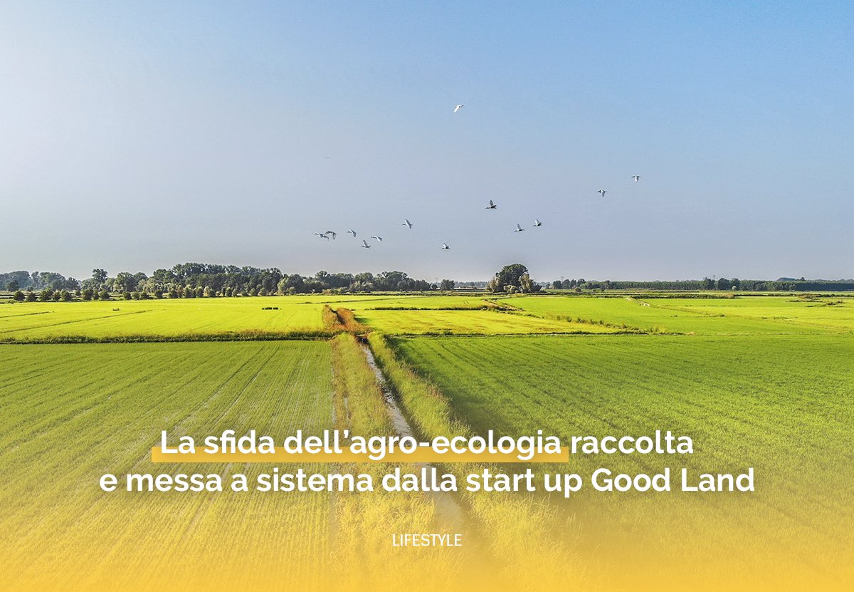 #lifestyle                                                   A #Bologna la #startup Good Land raccoglie la sfida dell’#agroecologia, unendo all’impegno sociale la qualità dei prodotti.                                        Leggi su #PantografoMagazine👇 pantografomagazine.com/sfida-agro-eco…
