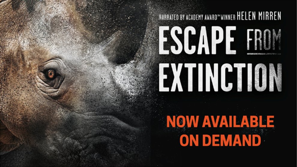 Escape From Extinction tweet media