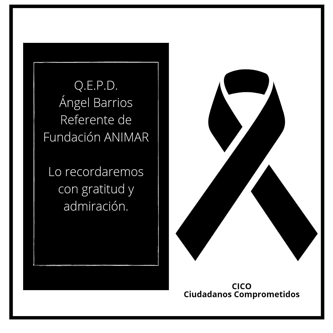 arielbaez's tweet photo. Con profundo pesar expresamos nuestras más sentidas condolencias por el repentino fallecimiento de Ángel Barrios, esposo de Analía Catuogno ambos referentes la Fundación Animarte. https://t.co/ARP5NX0g0g