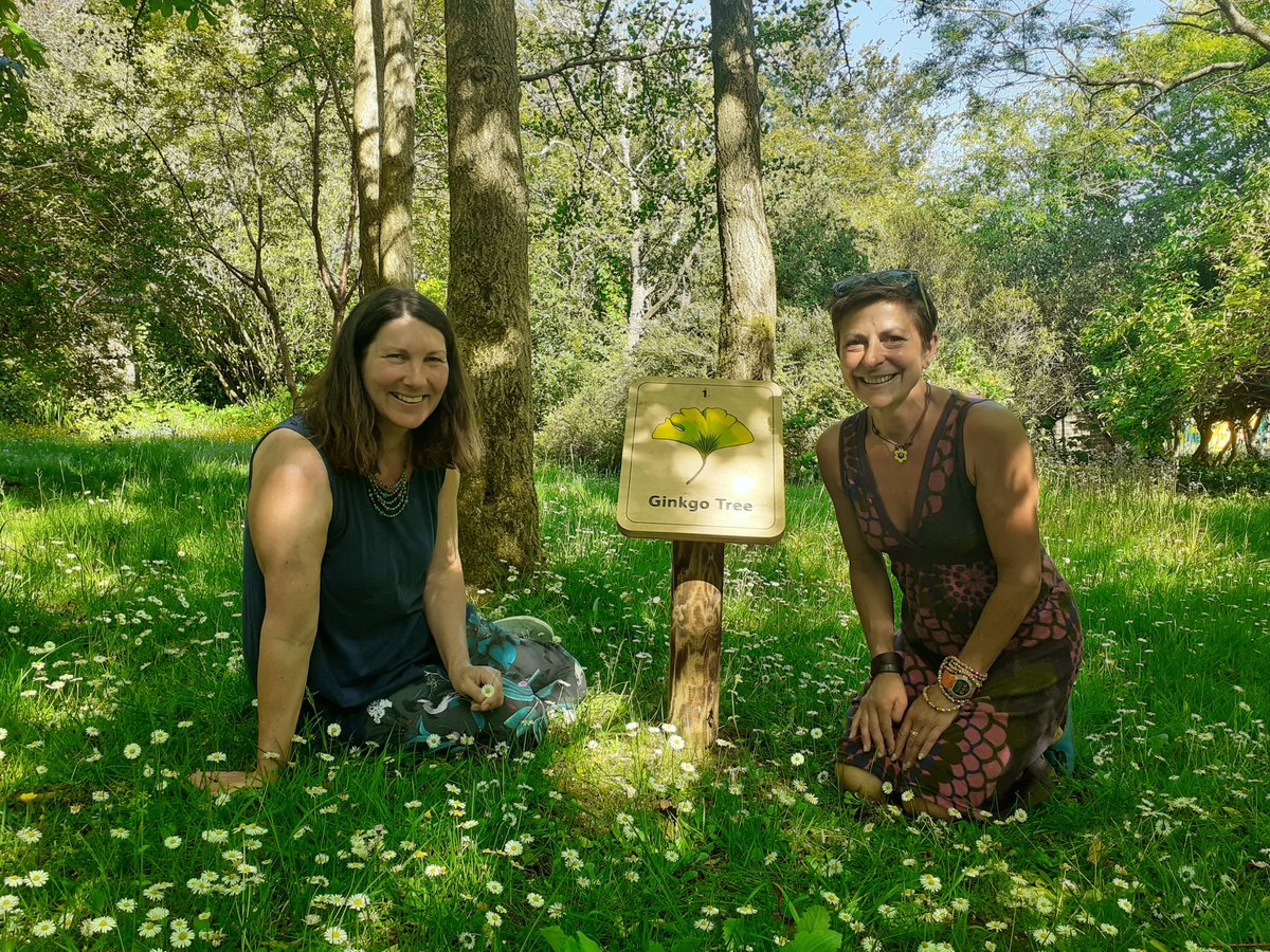 Creative Waves tweet media