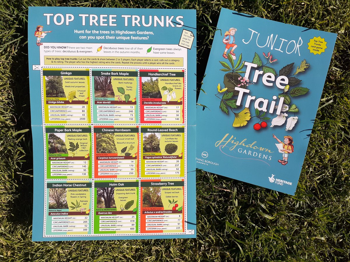 Creative Waves tweet media